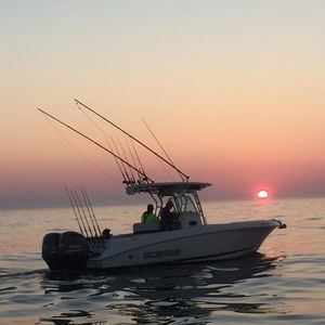 Meet your Posher, Dante